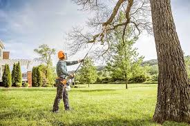 Best Emergency Tree Removal  in Level Plains, AL